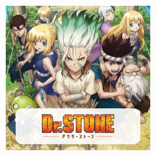 Dr Stone merch - Hoodie Anime