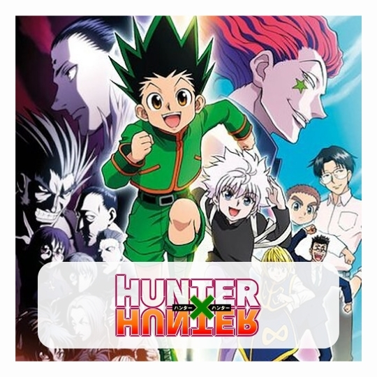 Hunter x Hunter merch - Hoodie Anime